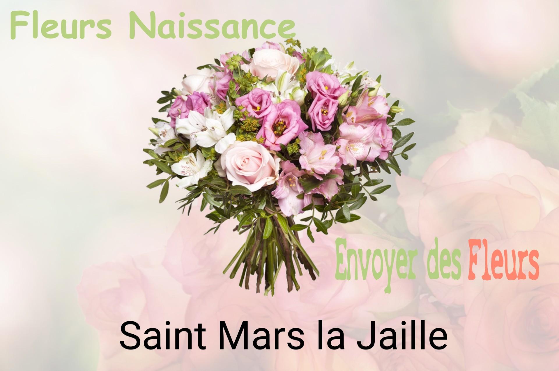 Bouquet de fleurs de naissance livré à Saint-Mars-la-Jaille